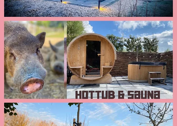 Bed & Wellness Pigs And Pillows With Private Hottub And Sauna And Tandembike Rental Included In Price Near Amsterdam