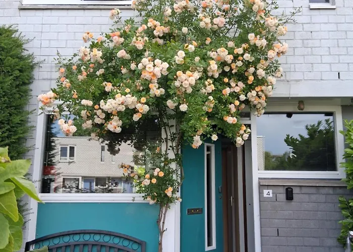 House nearby Amsterdam